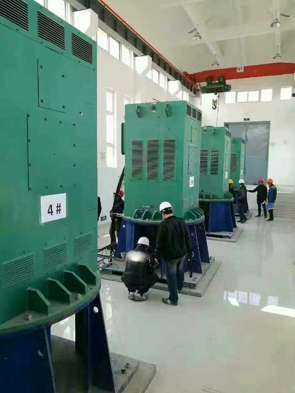 YKK4505-4某污水处理厂使用我厂的立式高压电机安装现场