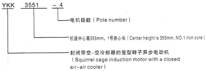 YKK系列(H355-1000)高压YKK4505-4三相异步电机西安泰富西玛电机型号说明