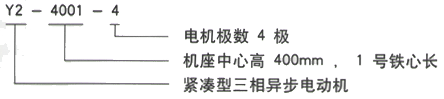 YR系列(H355-1000)高压YKK4505-4三相异步电机西安西玛电机型号说明